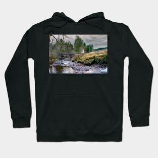 River Taff Hoodie